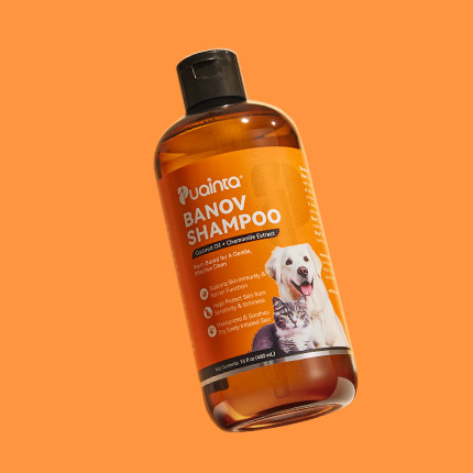 Dogs Calming Diffuser Kit - PuaintaMD