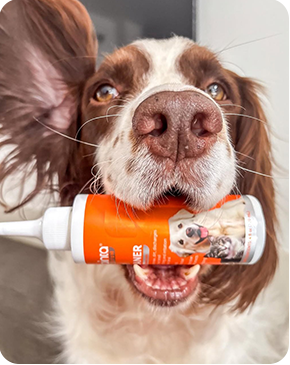 My dog's ears had a lot of flakes, 
                  a bad odor, and felt damp. After I started using this ear cleaner, 
                  I noticed a big improvement. It's been very effective so far, 
                  and I'll definitely keep buying it. Thank you!