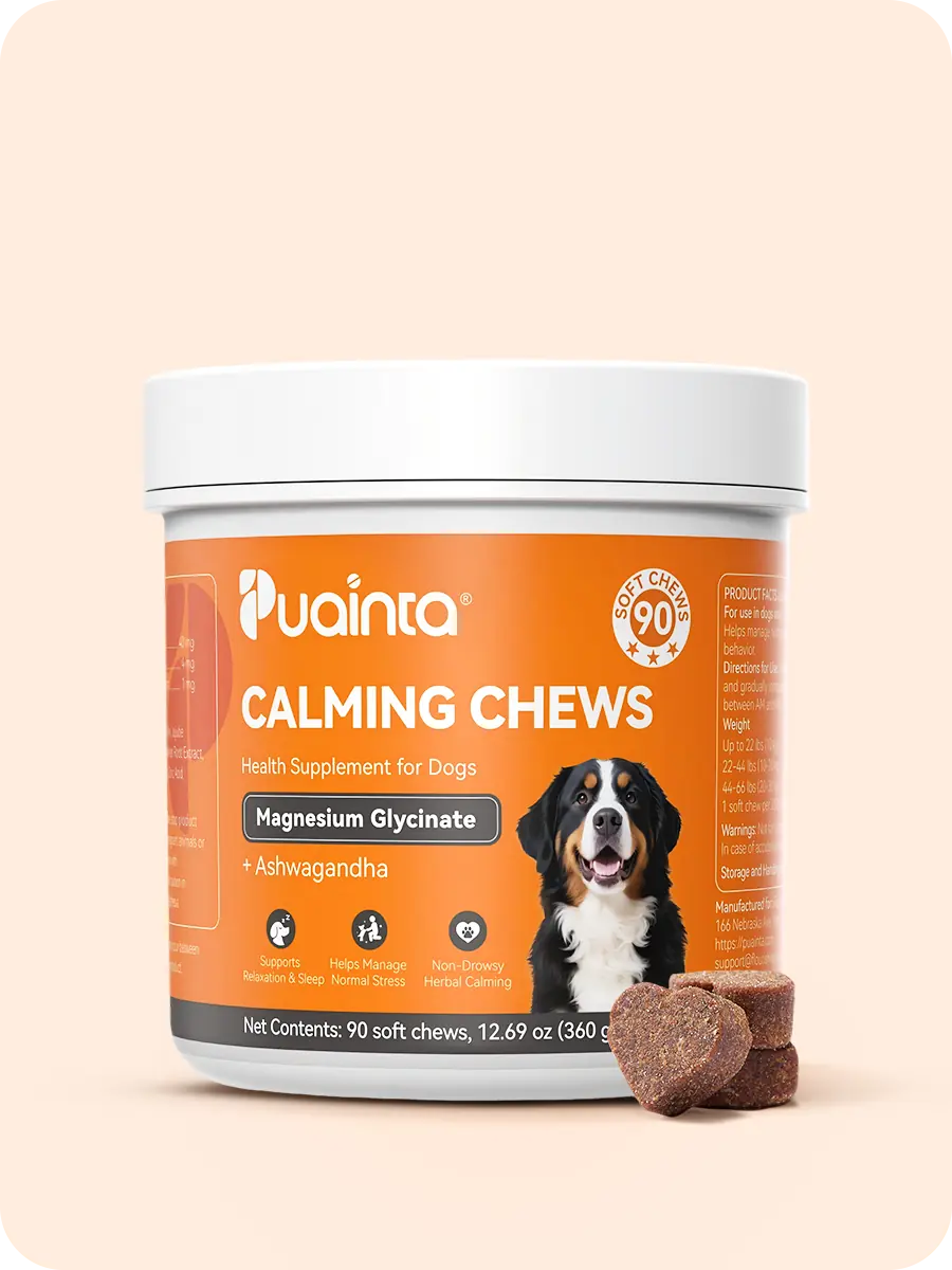 Puainta Calming Chews for Dogs – Natural Stress & Anxiety Support