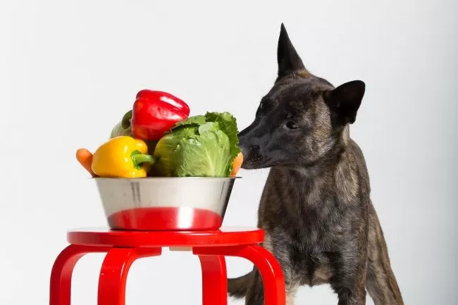 can dogs eat red peppers