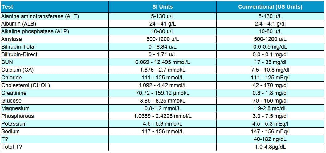 Elevated Bilirubin in Cats