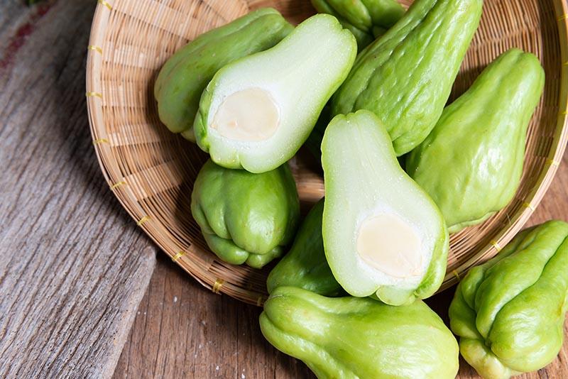 Is Chayote Good for Dogs