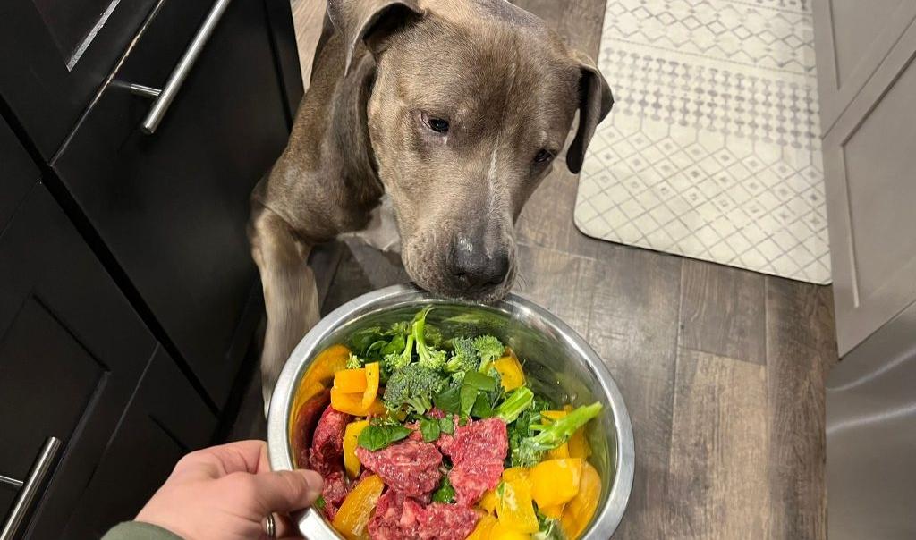 How to Add Fiber to Dogs Diet Naturally