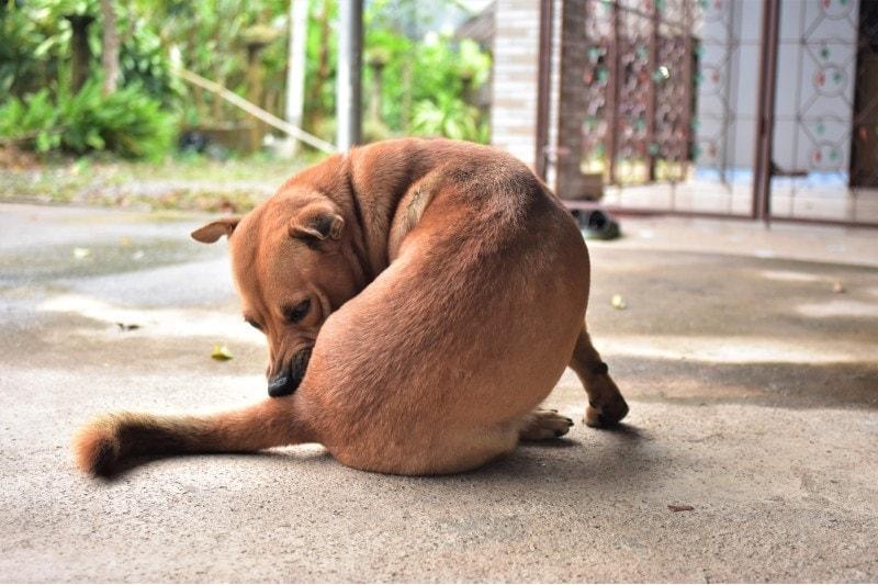 西城男孩My love完整歌词 百度知道