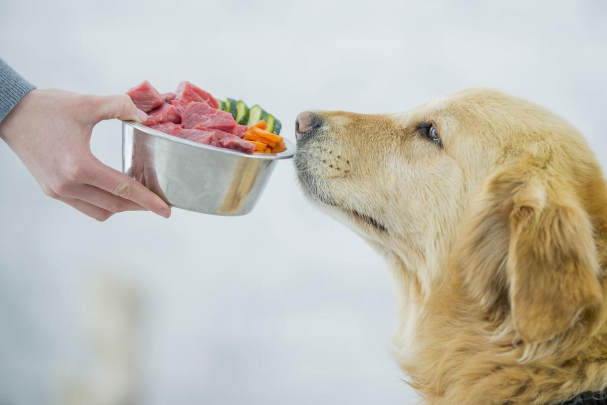 How to Add Fiber to Dogs Diet Naturally