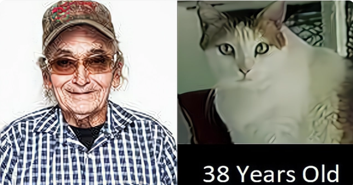 The oldest cat and his owner