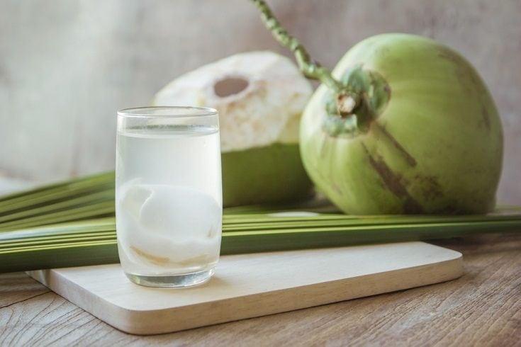 cães podem beber água de coco