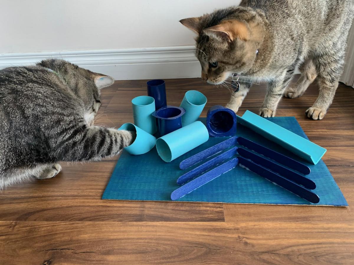 Enriching cat toys best sale