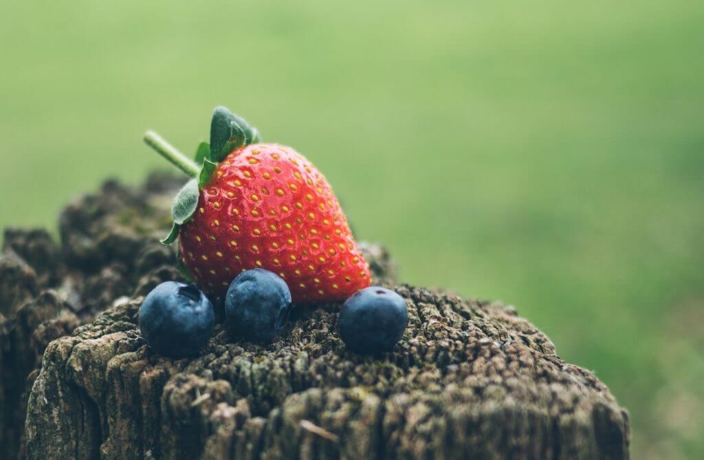 Can Dogs Have Blueberries and Strawberries