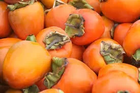 Can Dogs Eat Persimmons? 