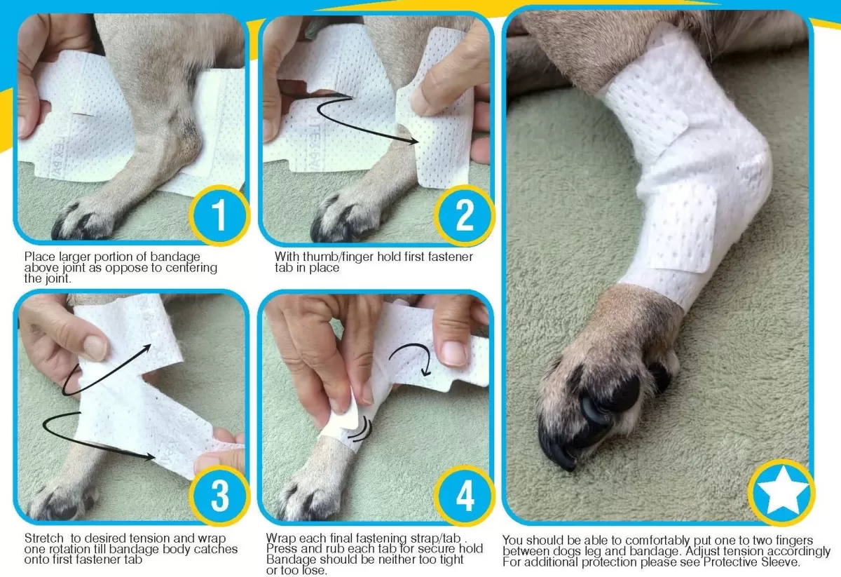 wrapping a dog's foot