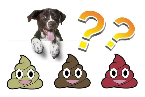 Types Of Dog Poop and What They Mean - Dog Poop Chart