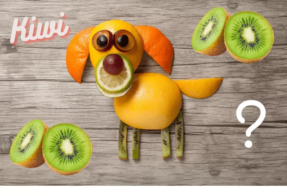 Can Dogs Eat Kiwi