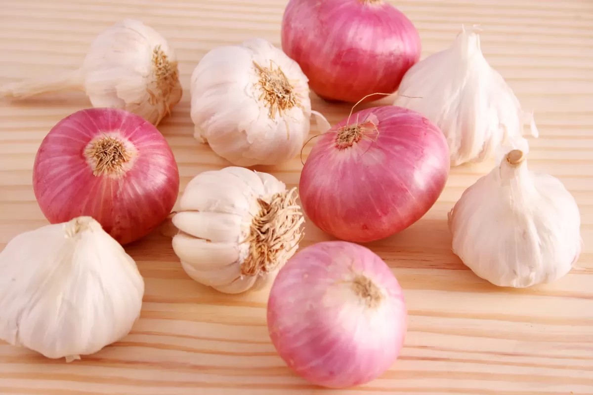 Garlic & Onions 