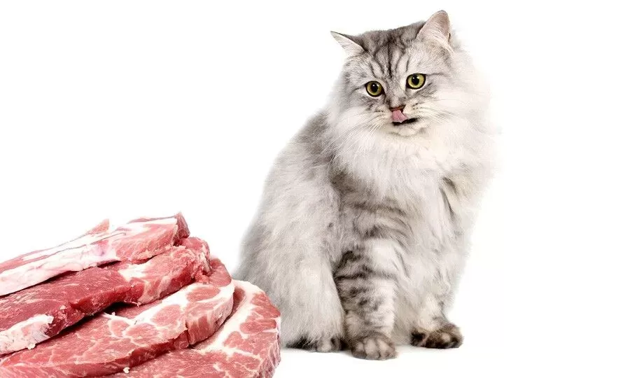 Is pork ok for cats hotsell