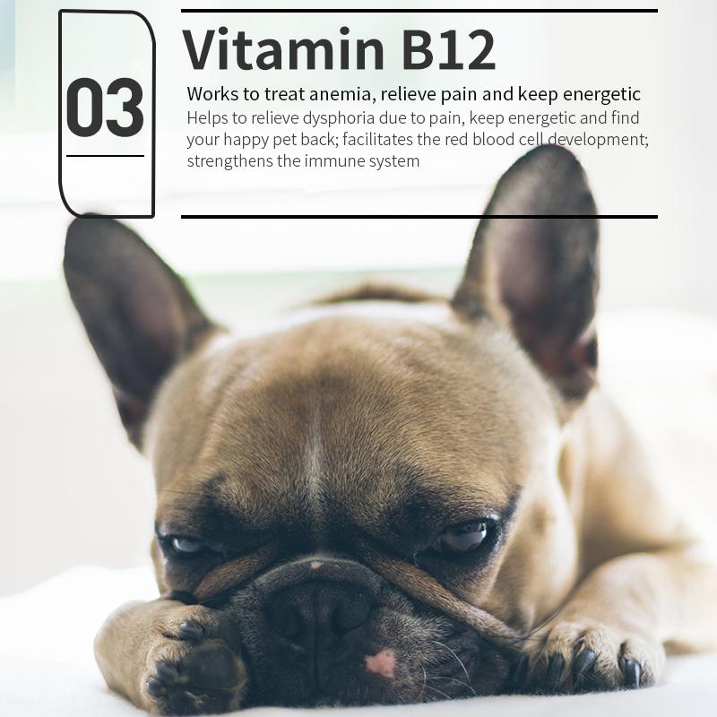 Liquid vitamin b complex for dogs best sale