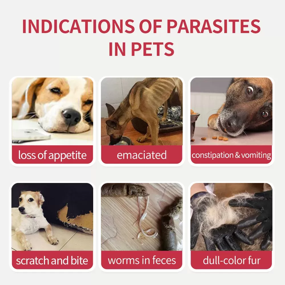 Puainta® Kill Endoparasites; Deworming Inside Pet’s Body