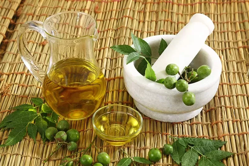 Is Neem Oil Safe for Dogs