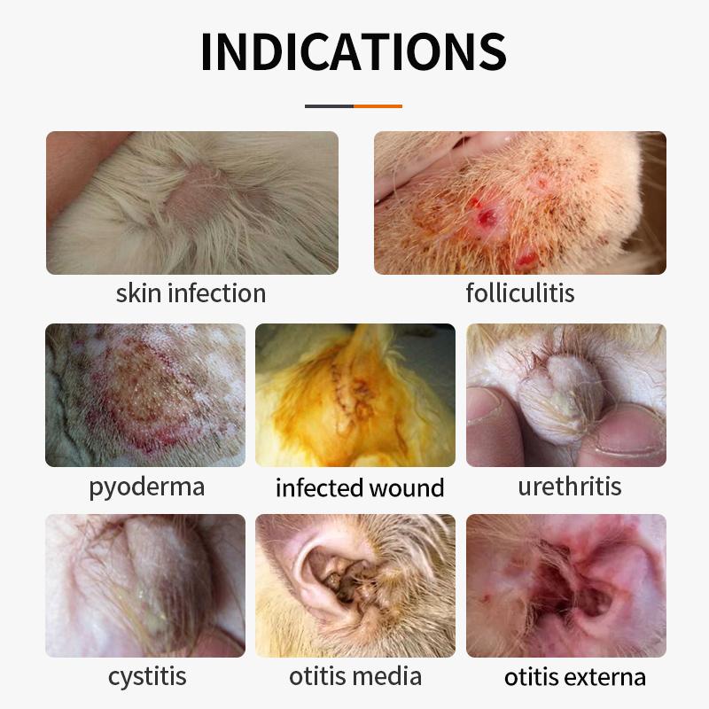 Puainta ® Cefadroxil Comprimidos anti-inflamatórios de venda livre