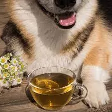 Can Dogs Drink Tea