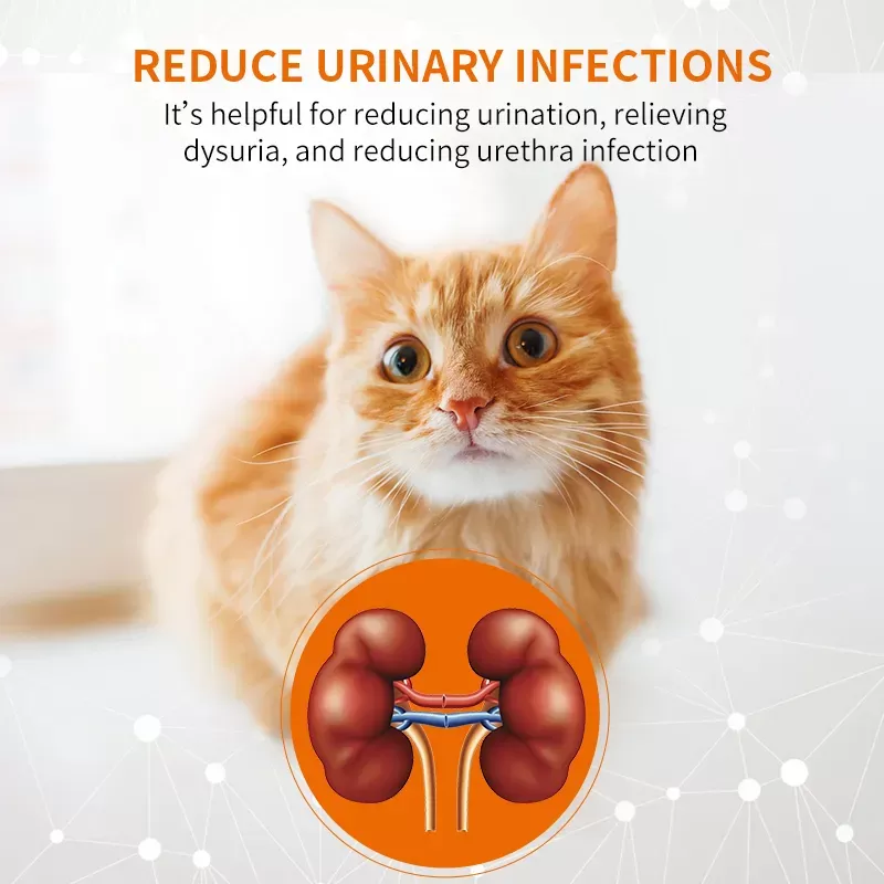 Puainta® Treatment of Urinary lnfection