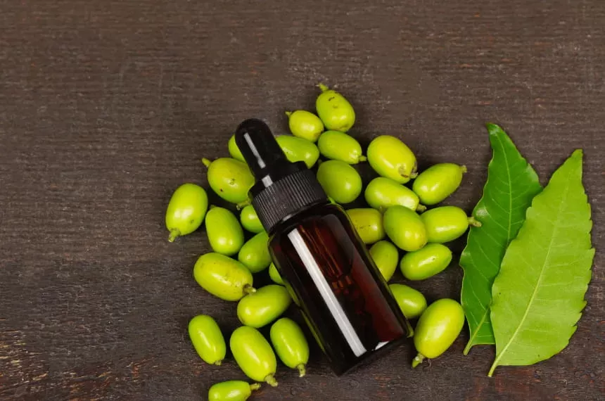 How to Use Neem Oil Safely on Dogs