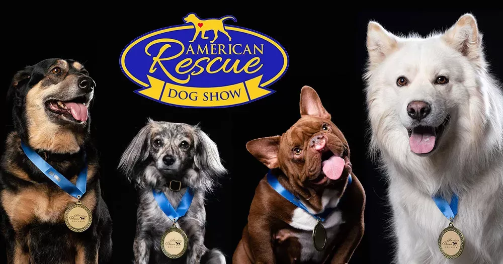 Source: American rescue dog show