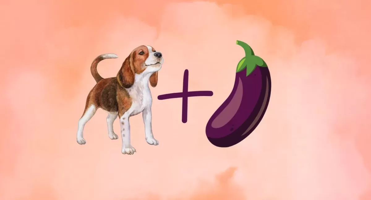 Can Dogs Eat Eggplant?