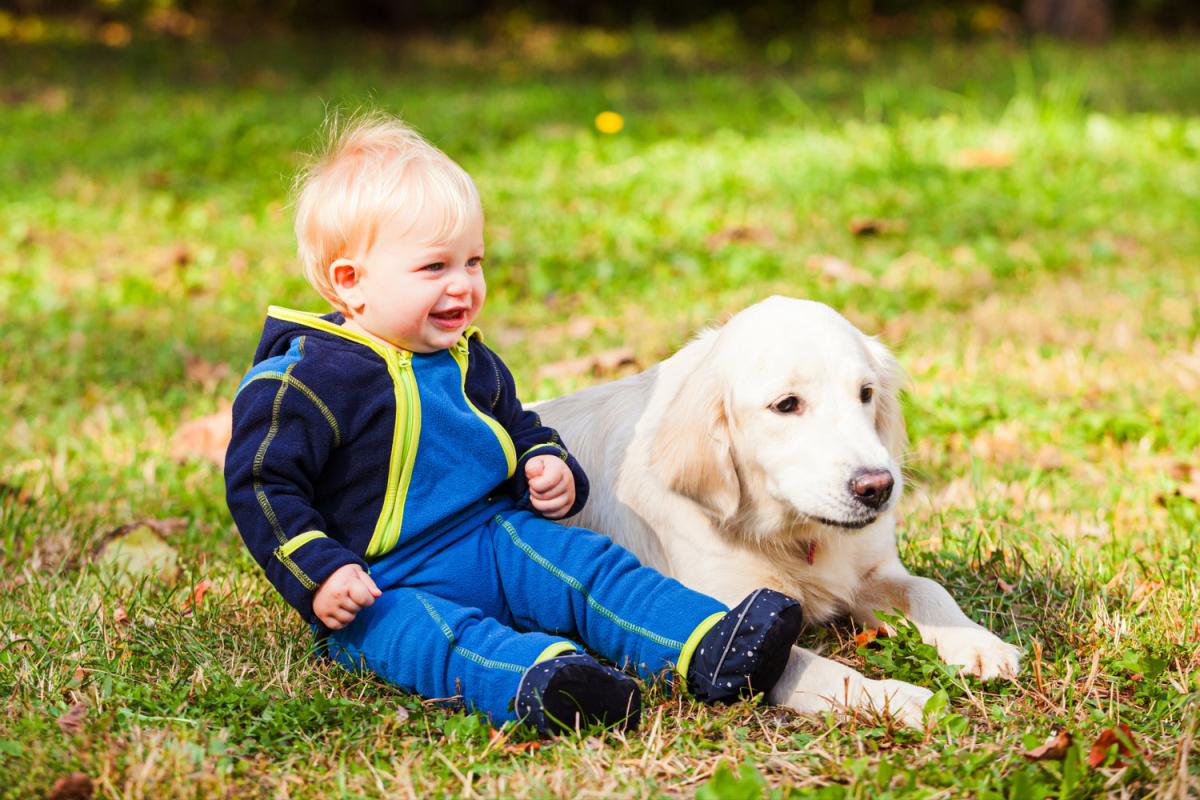 Best Dogs for Kids