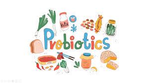 Natural Food Sources Rich in Probiotics