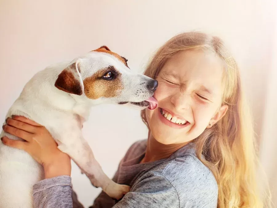 5 Reasons Why Dogs Like to Lick You and Themselves