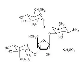 Neomycin sulfate | CAS 1405-10-3 | SCBT - Santa Cruz Biotechnology