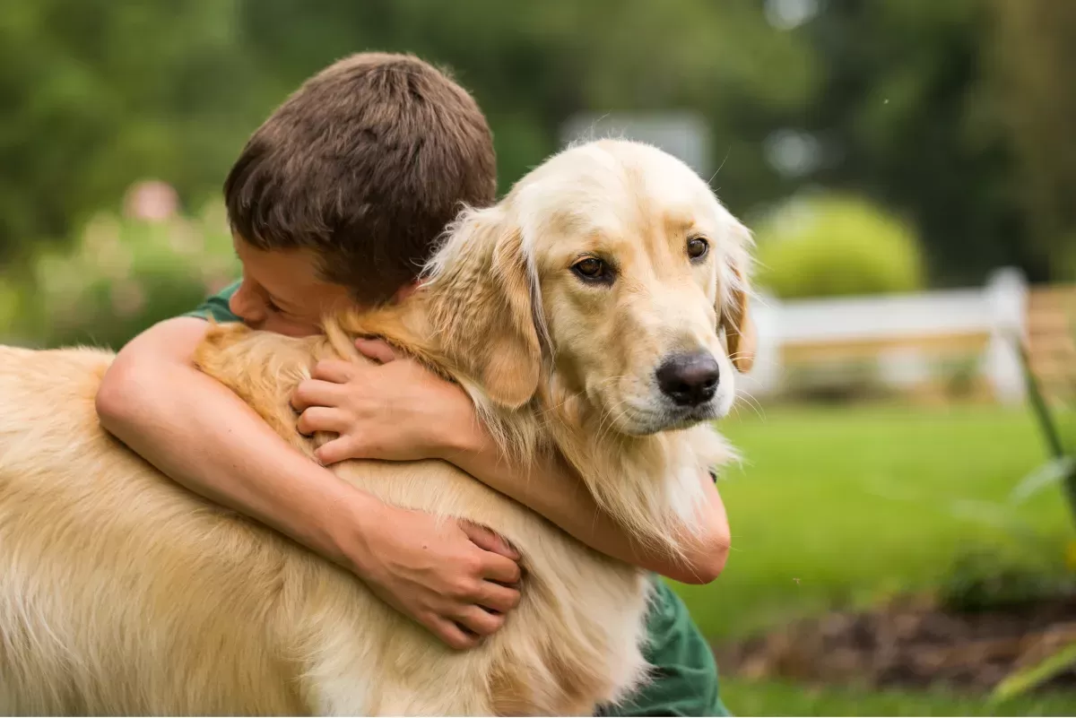 Best Dogs for Kids