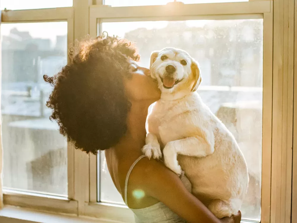 Pet Parents Get Separation Anxiety, Too