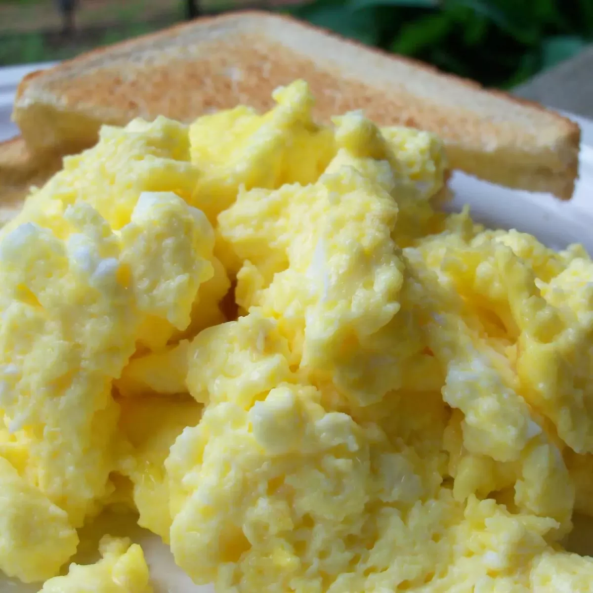 Scrambled Eggs