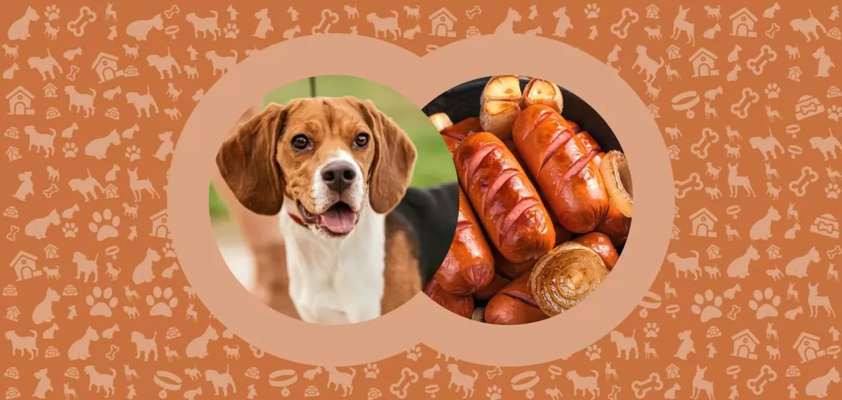 Can Dogs Eat Sausage? Is It Safe for Them?