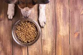 Futter für empfindlichen Magen bei Hunden