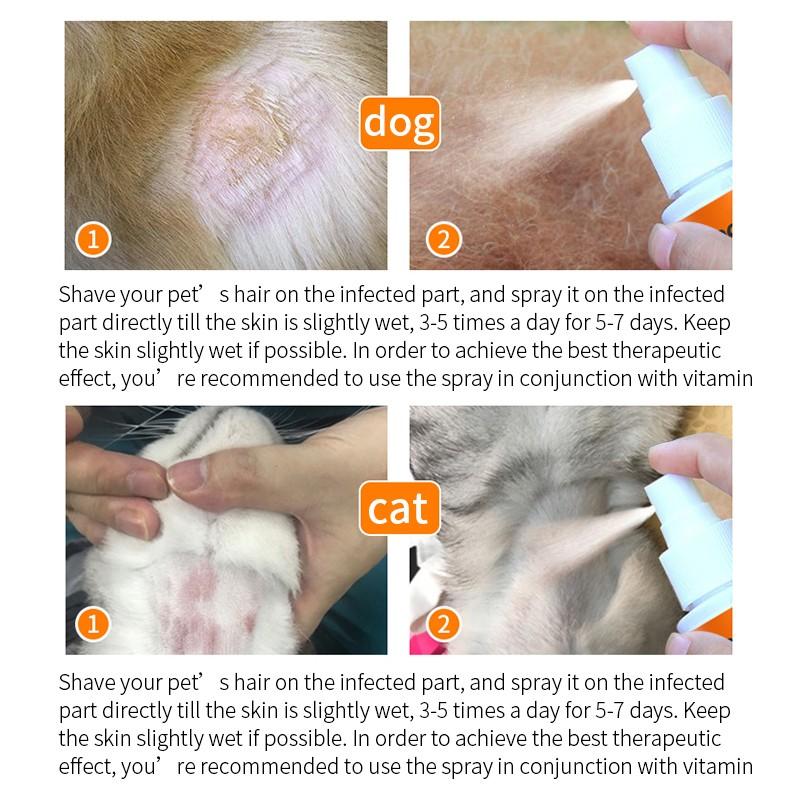 Anti-itch Spray for Dogs and Cats