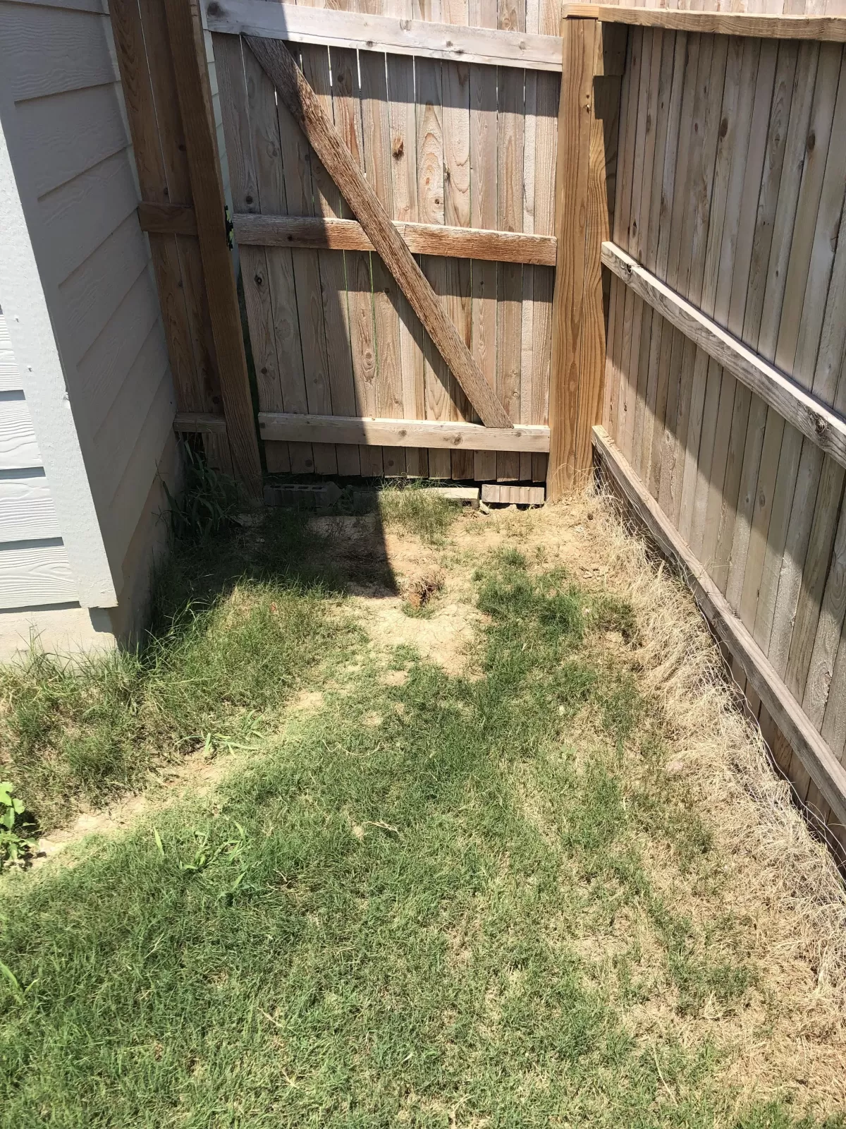 How to Keep Dogs from Digging Under Fence