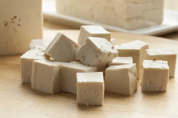 Is tofu good for dogs?