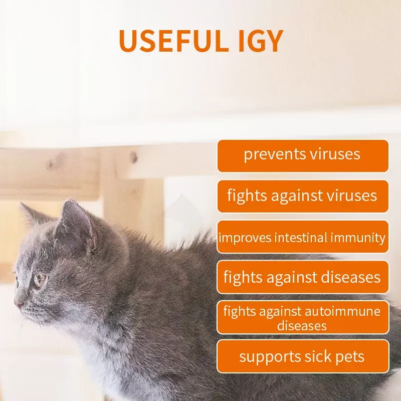 IGY Immune Health Liquid Supplement for Cats & Dogs