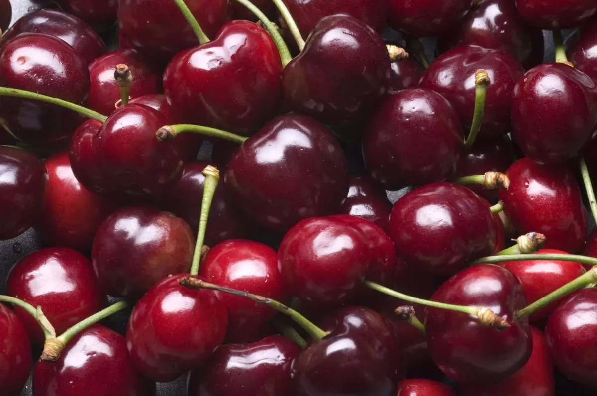 Sweet Cherries