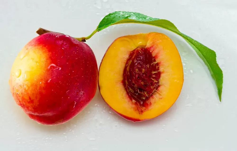 How to Plant a Peach Seed » Top Tips & Facts