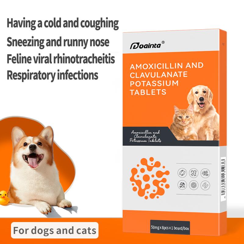 Amoxicillin Clavulanic Acid Tablets for Dogs Cats