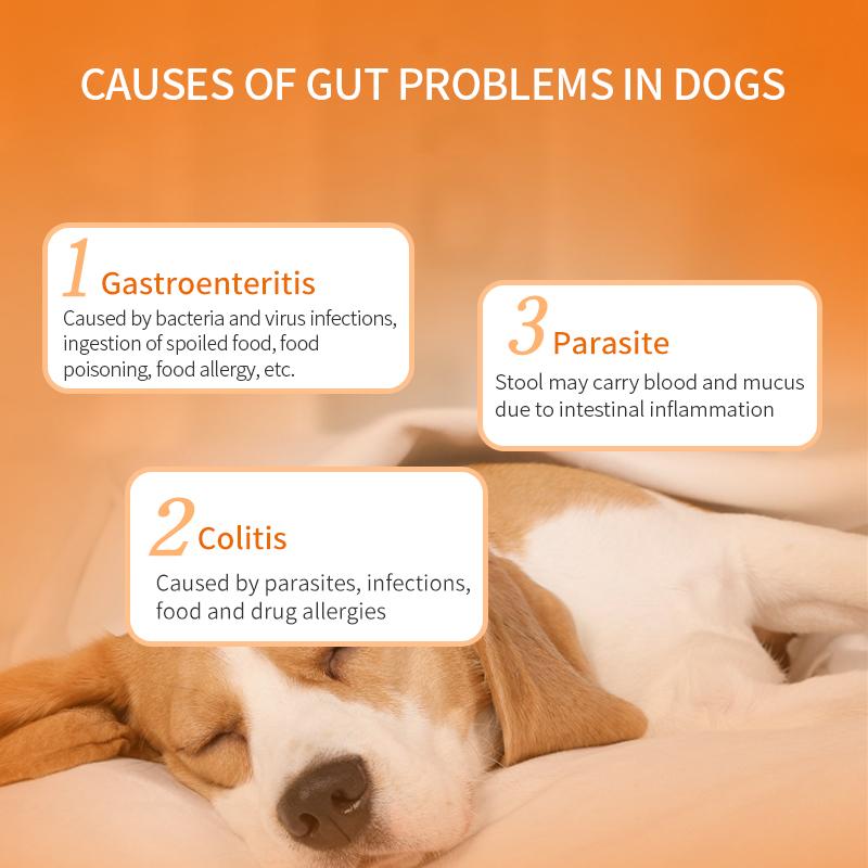 Puainta | Low Fat Dog Treats Pancreatitis