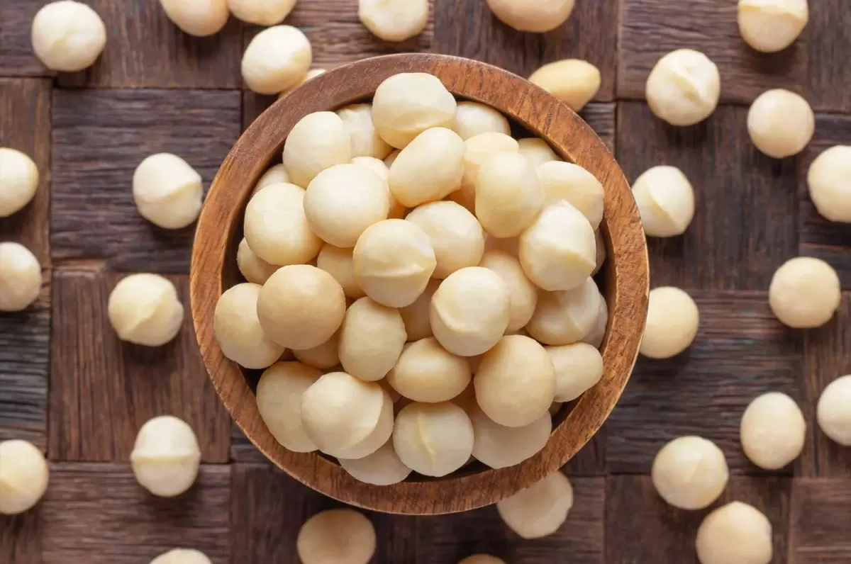 Are Macadamia Nuts Heathy?