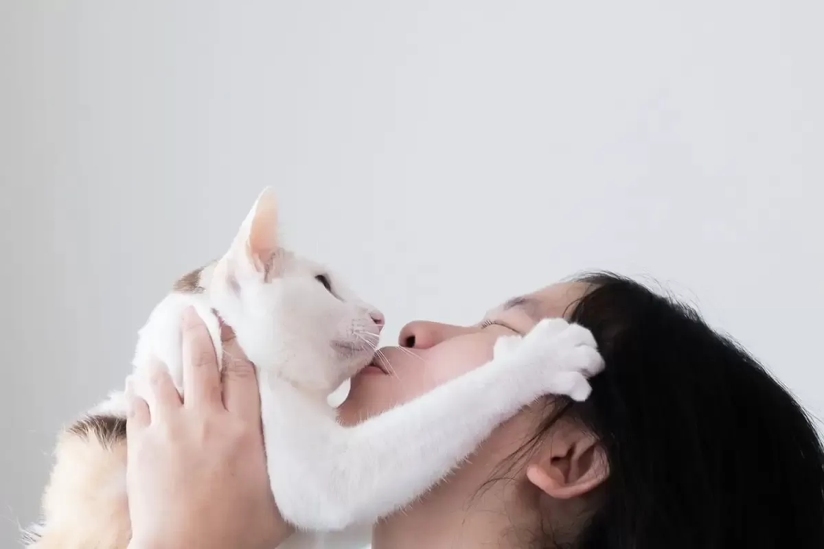 Why Do Cats Smell Good？