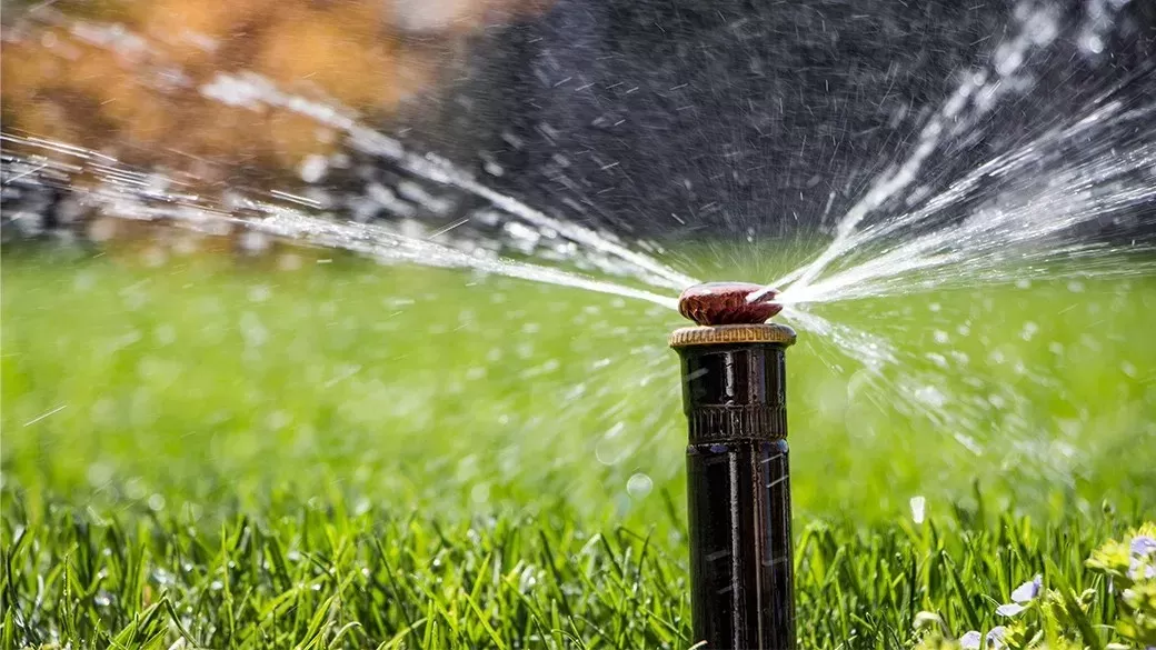 Best motion-activated sprinklers