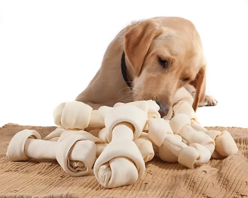 Rawhide for Dogs