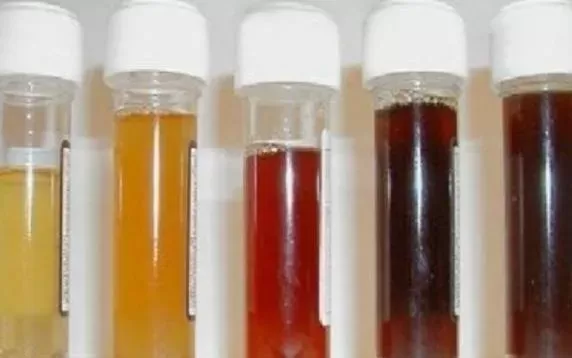 Blood in Dog Urine